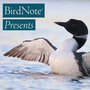 Listen to BirdNote Presents in the App