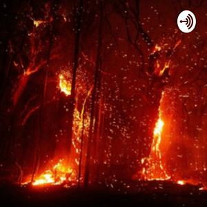 The Australian Bushfires