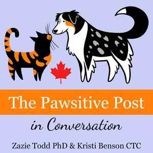 The Pawsitive Post in Conversation by Companion Animal Psychology