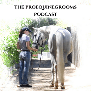 The Proequinegrooms Podcast