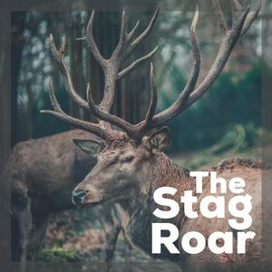 Listen to The Stag Roar: Life Less Ordinary in the App