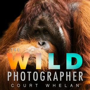 Listen to The Wild Photographer in the App