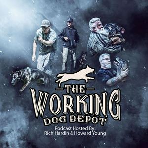 Listen to The Working Dog Depot Podcast in the App