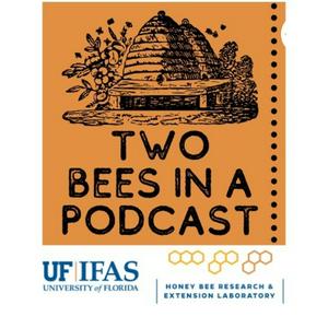 Listen to Two Bees in a Podcast in the App