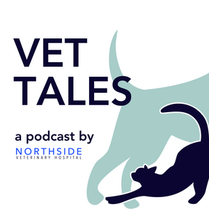 Listen to Vet Tales in the App