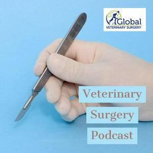 Listen to Veterinary Surgery Podcast in the App