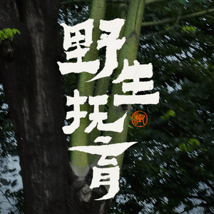 Listen to 野生抚育 in the App